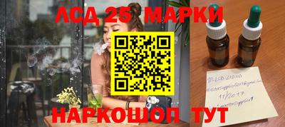 spice Кунгур
