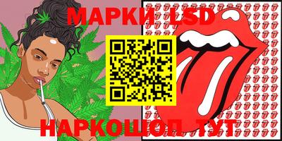 spice Кунгур
