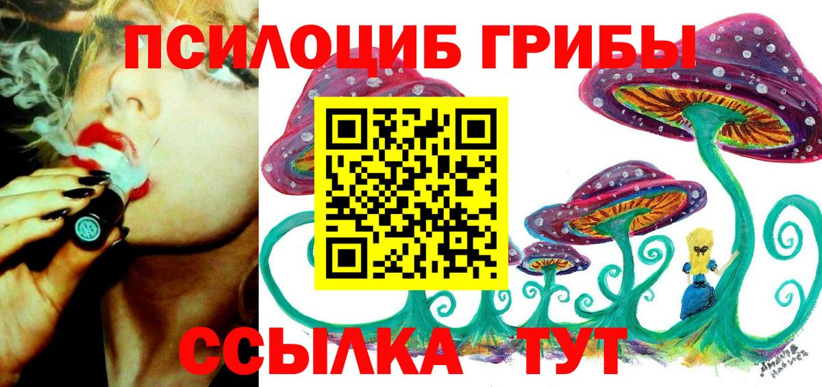 Кизилюрт  Псилоцибиновые грибы Magic Shrooms  купить  сайты  Вход с VPN  Псилоцибиновые грибы Magic Shrooms 