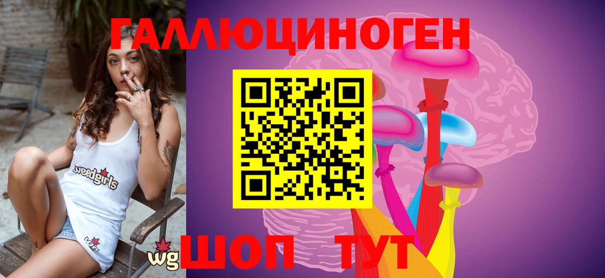 Галлюциногенные грибы Cubensis Кизилюрт